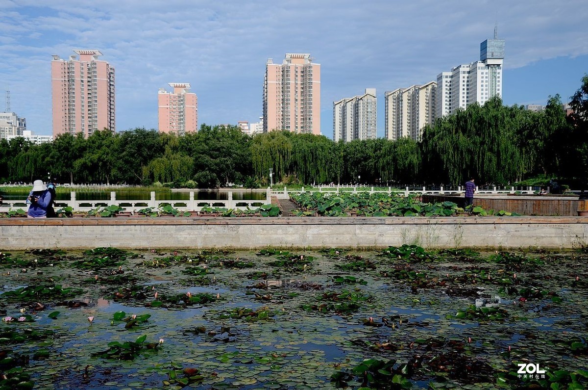 莲 花 池 公 园 风 景（2）