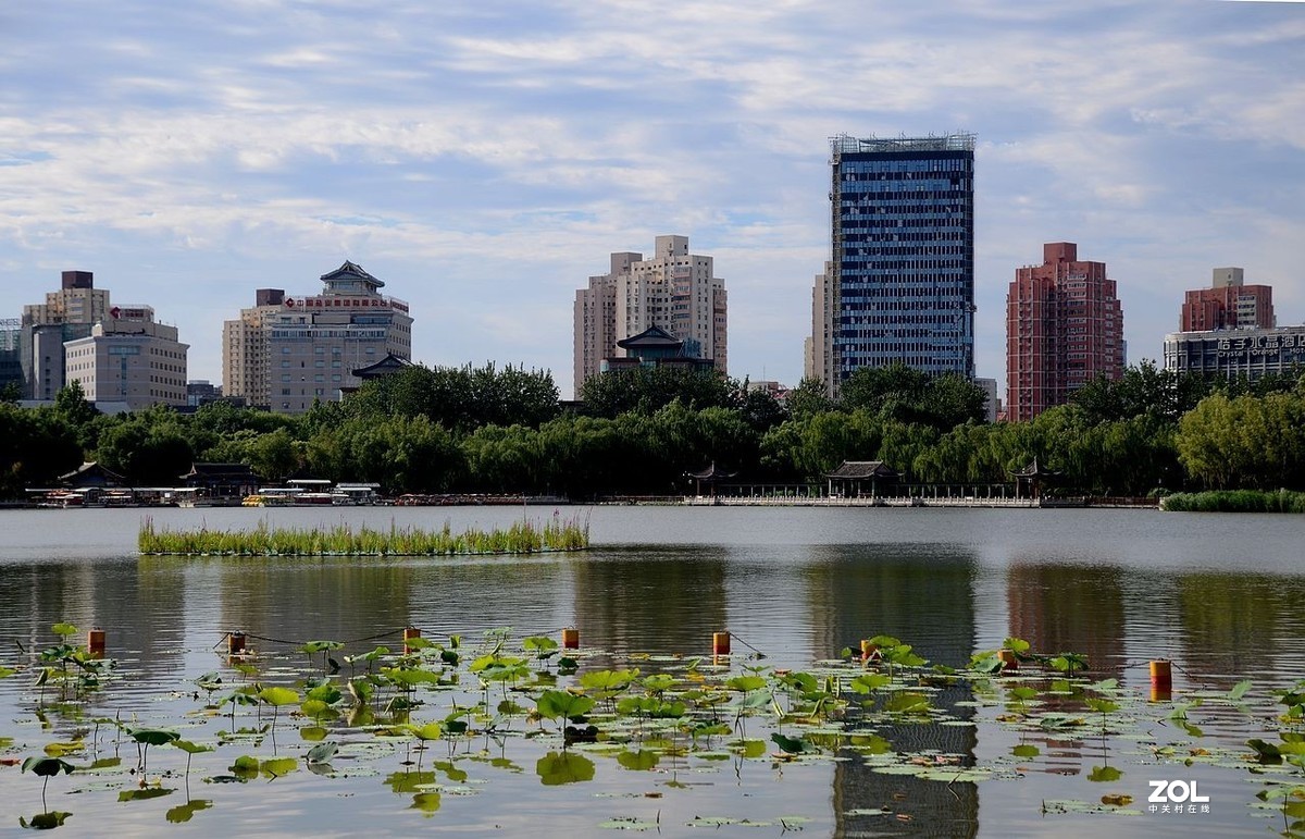 莲 花 池 公 园 风 景（2）