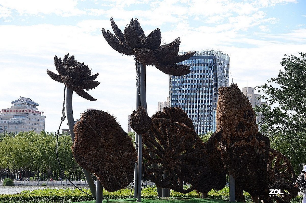 莲 花 池 公 园 风 景（2）