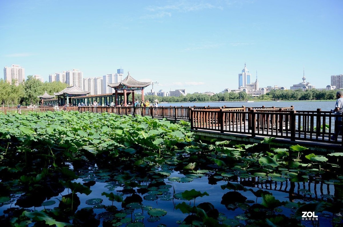 莲 花 池 公 园 风 景（2）