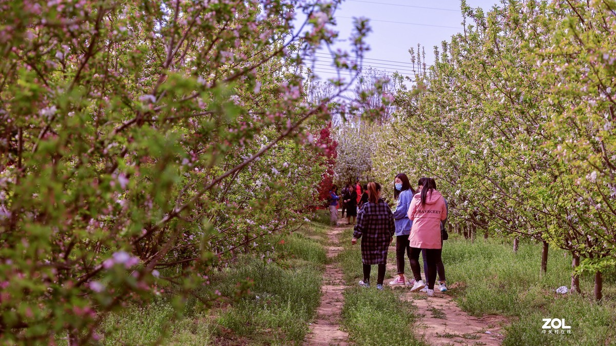 苗圃（EF24-105 F4)