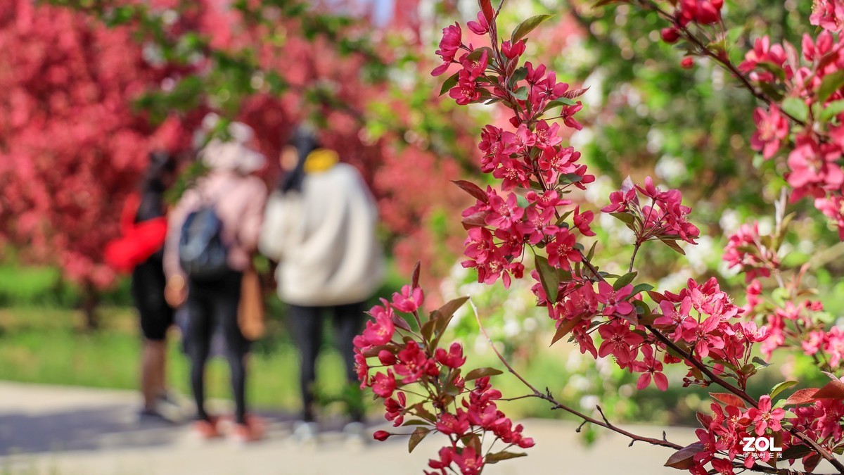 苗圃（EF24-105 F4)