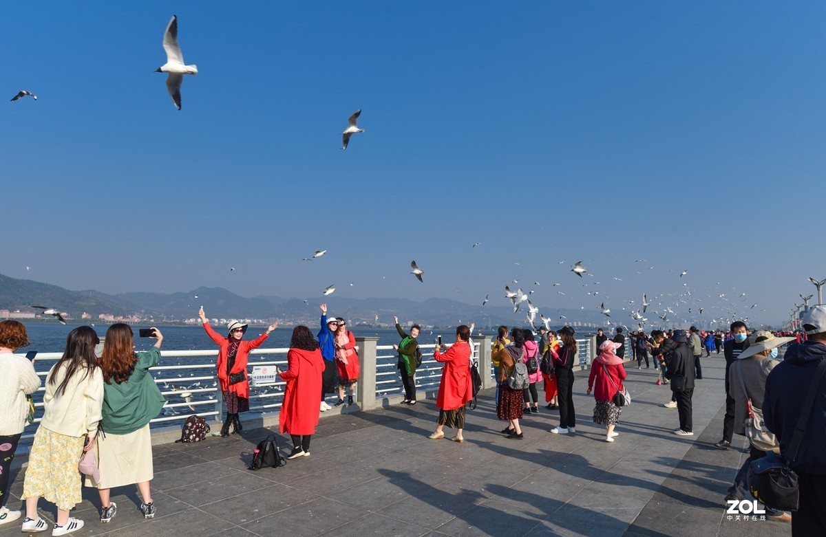 才买的二手银广，很满意的