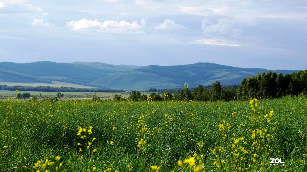 呼伦贝尔草原随拍【6】临江老鹰嘴景区