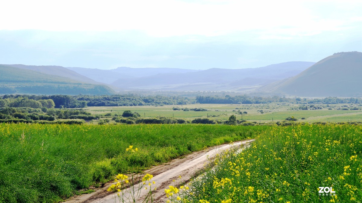 呼伦贝尔草原随拍【6】临江老鹰嘴景区