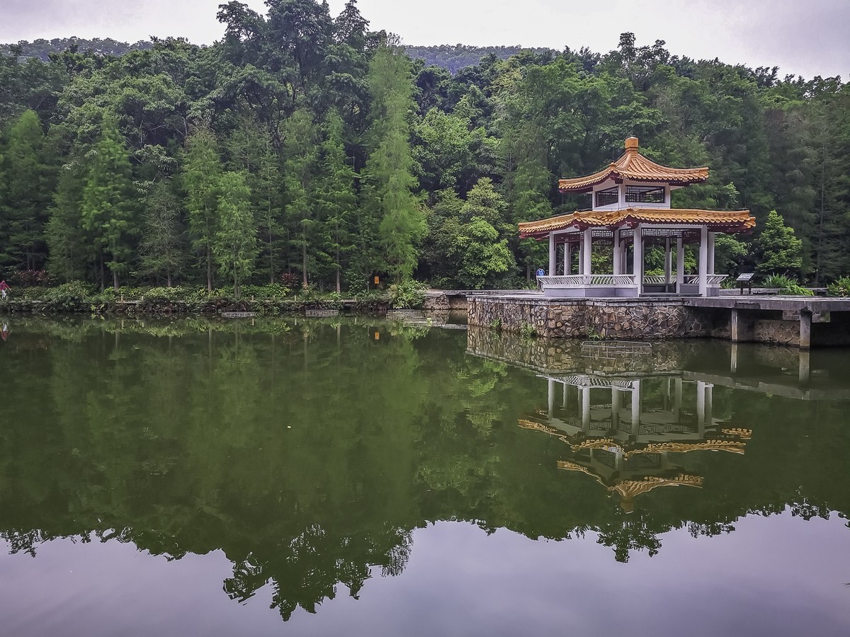 深圳仙湖植物园 ~ 掠影