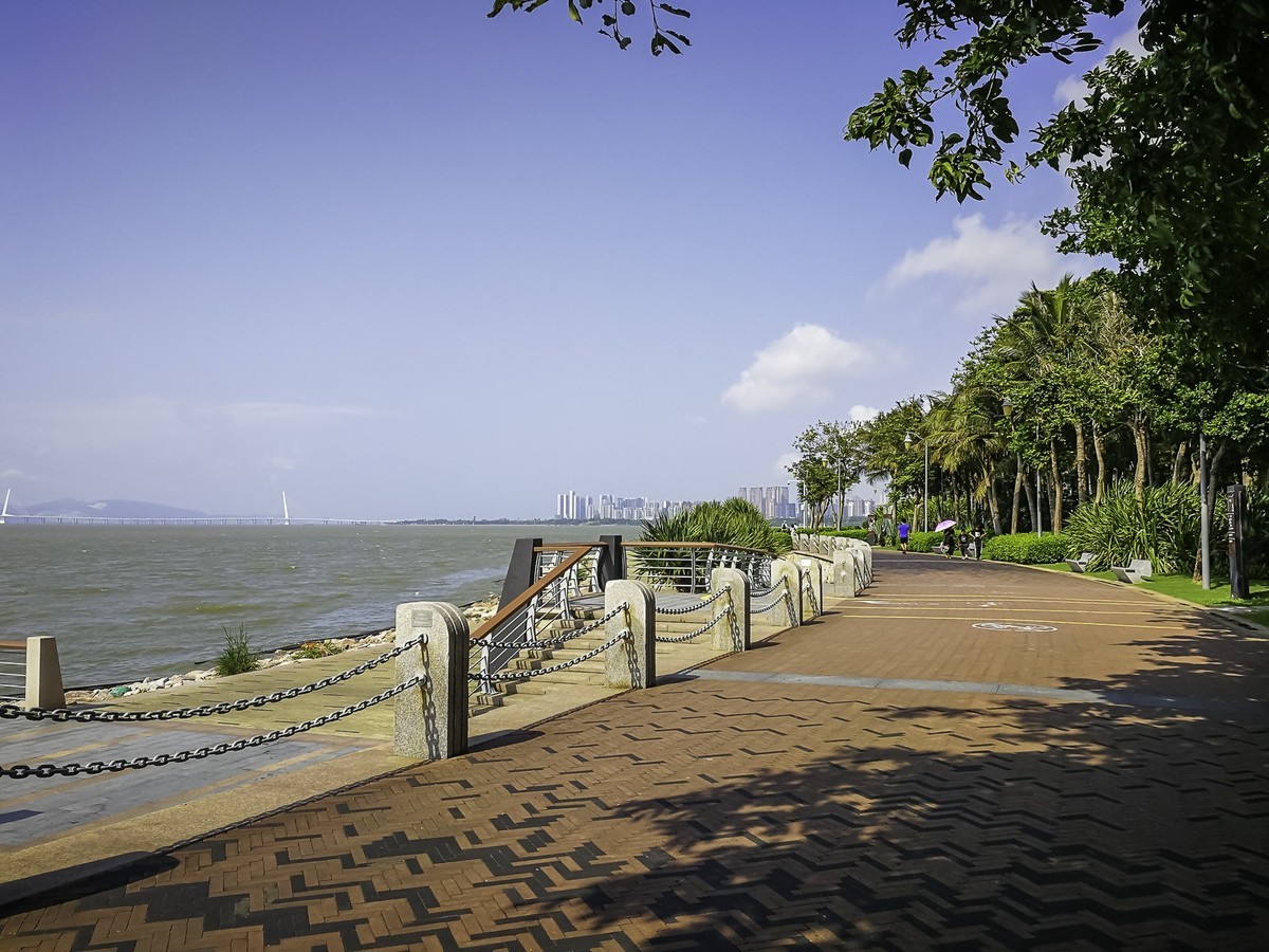 深圳湾公园掠影