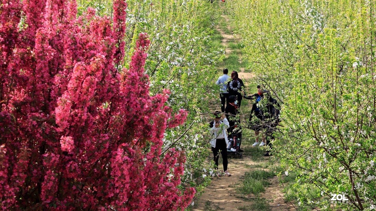 苗圃（EF24-105 F4)