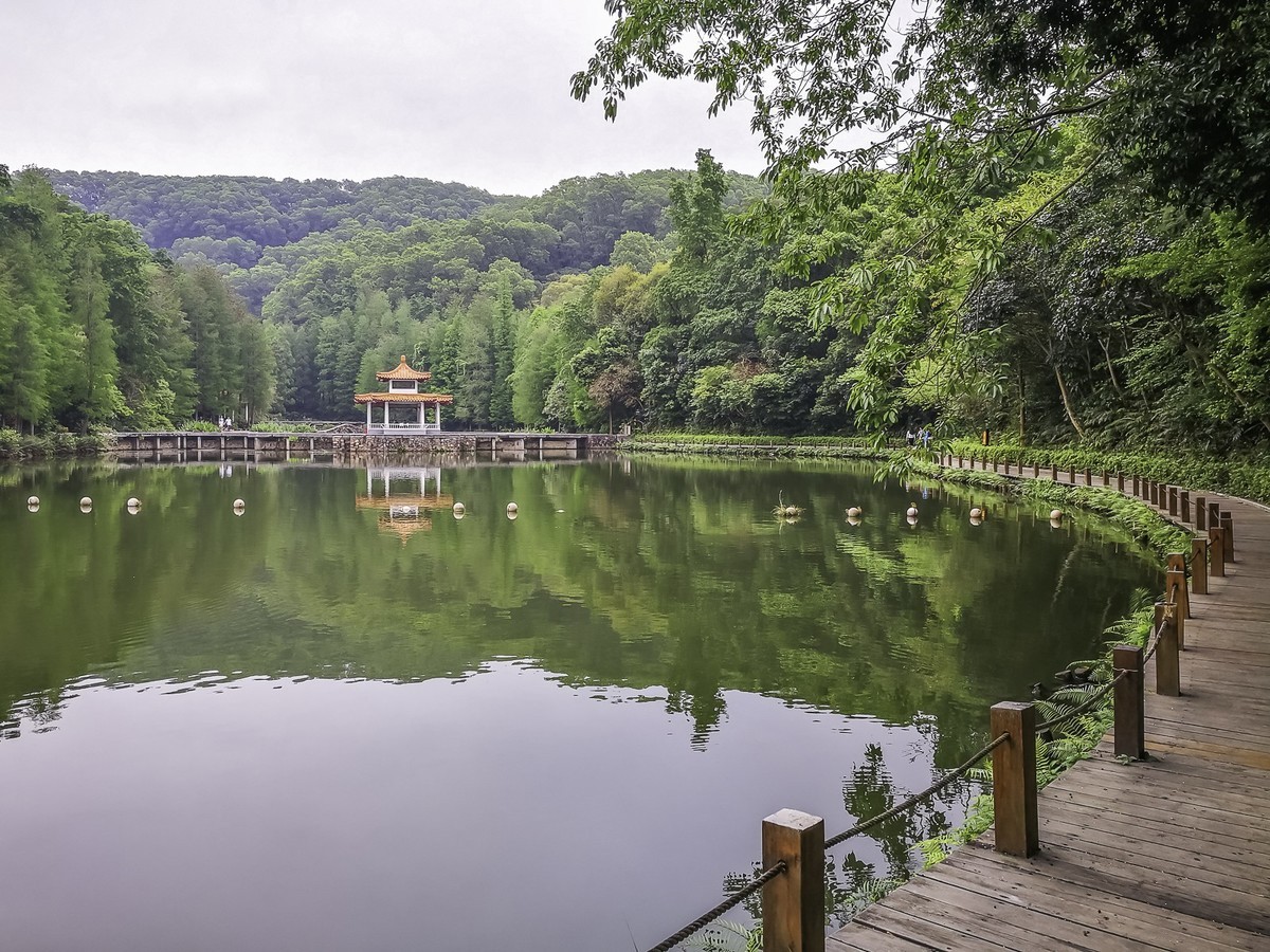 深圳仙湖植物园 ~ 掠影