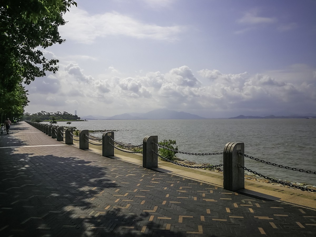 深圳湾公园掠影