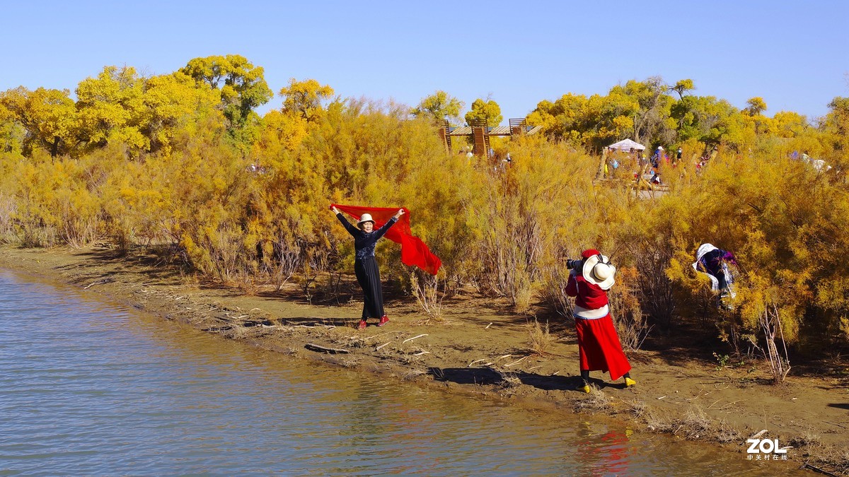 额济纳一～四道桥胡杨林【2】