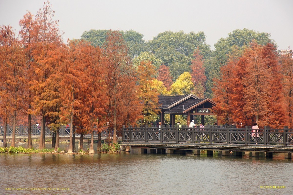 #版主坐堂# 索尼 大版星空(中国)2021年1月份优秀作品精选汇总