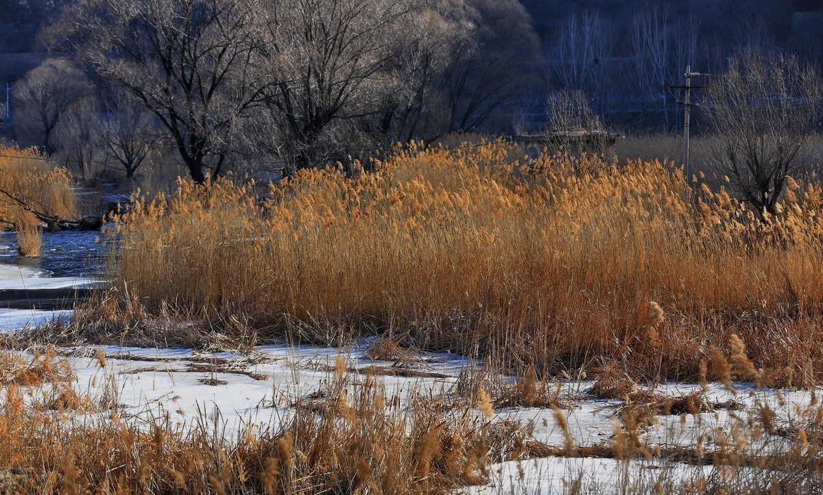 #版主坐堂# 索尼 大版星空(中国)2021年1月份优秀作品精选汇总