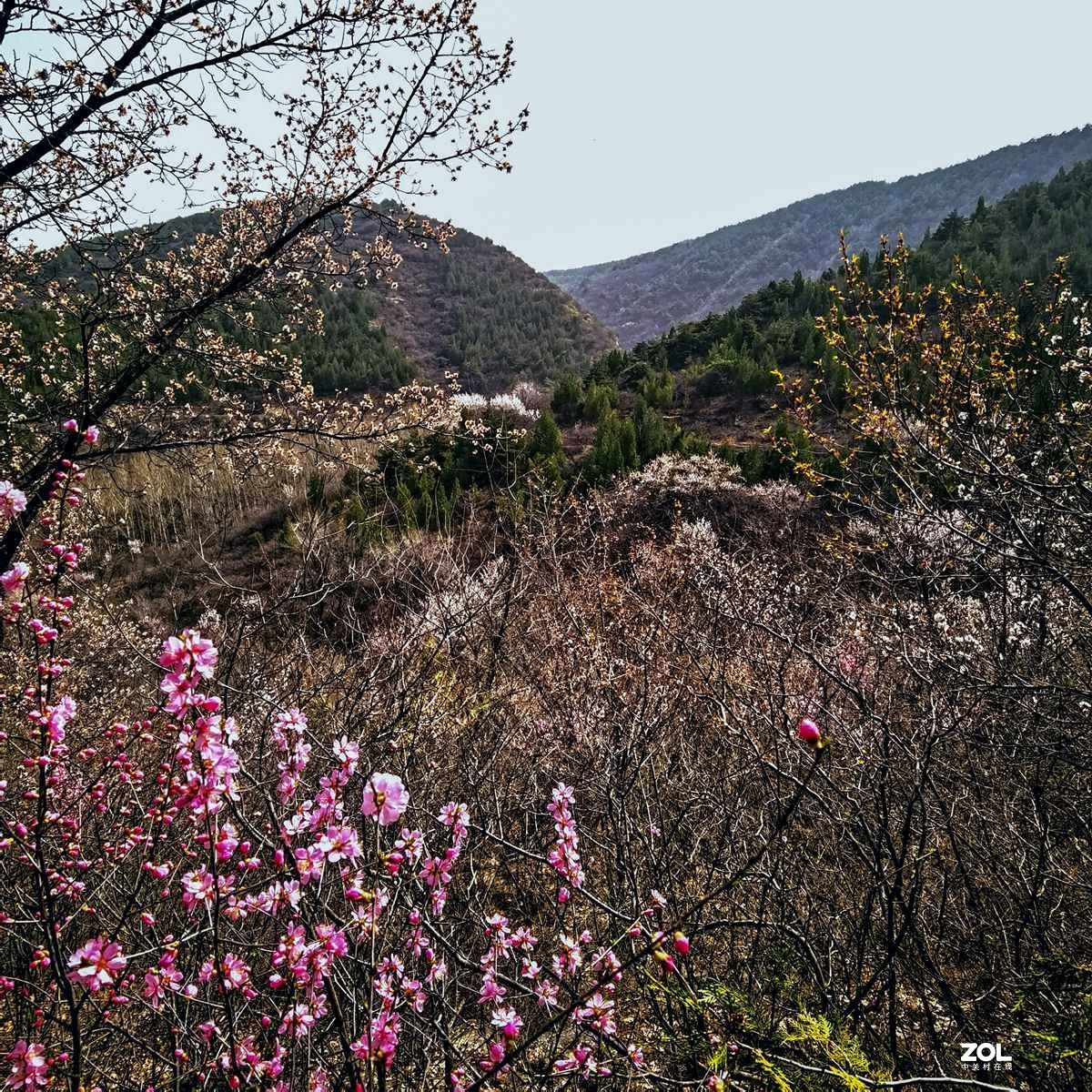 昔阳县大寨参观扫描