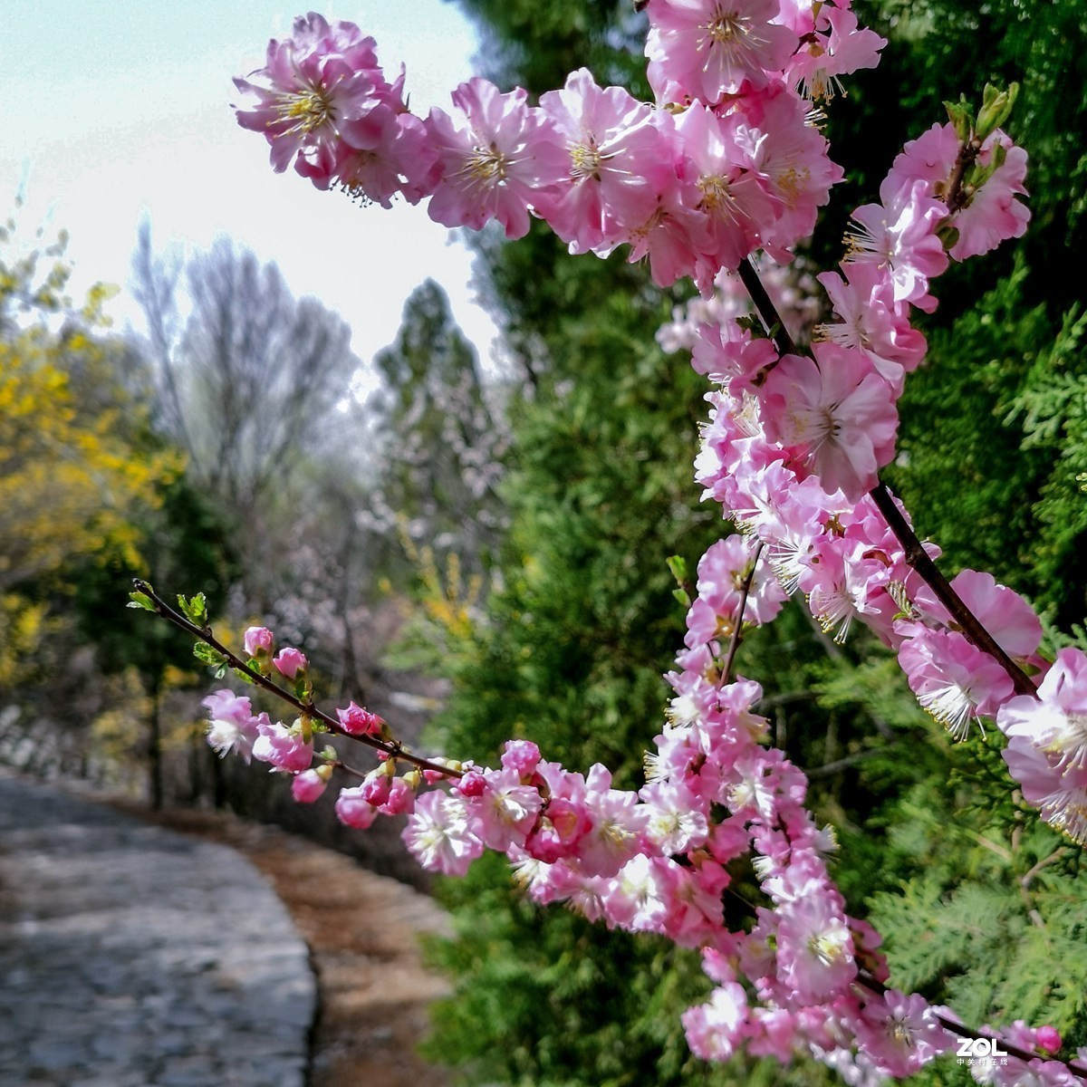 昔阳县大寨参观扫描