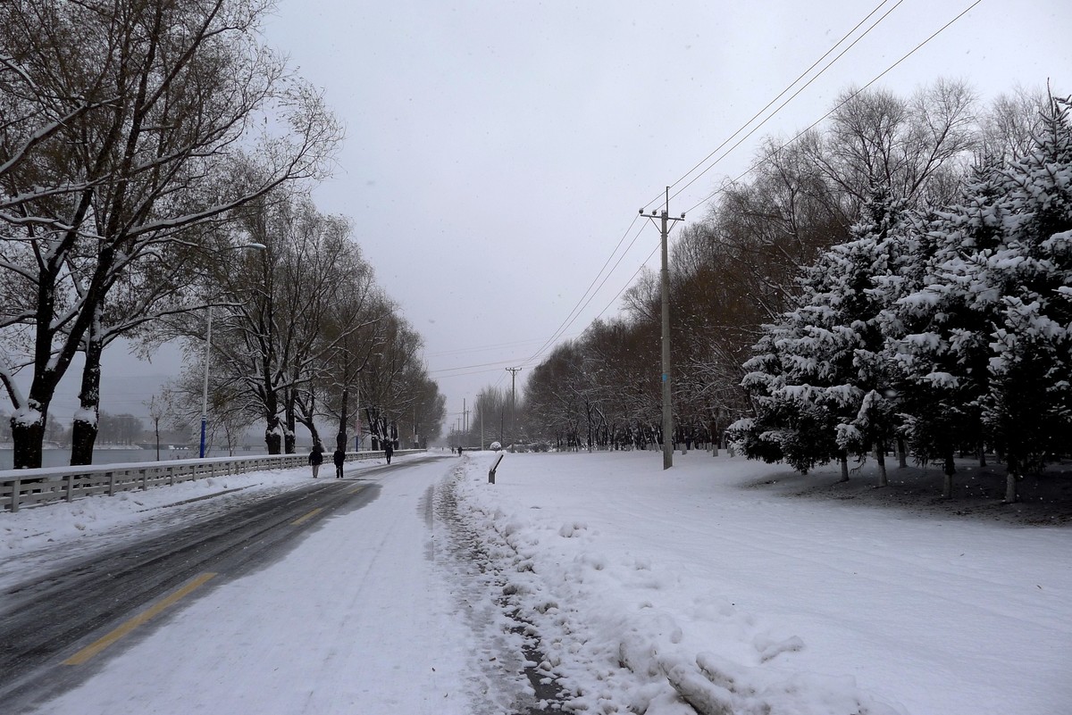 小雪节气雪飘飘－雪景（二）