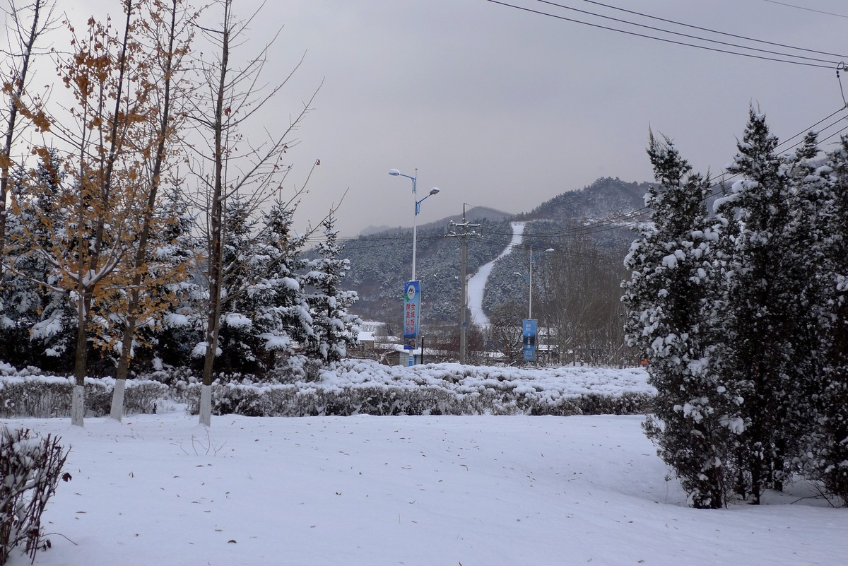 小雪节气雪飘飘－雪景（二）