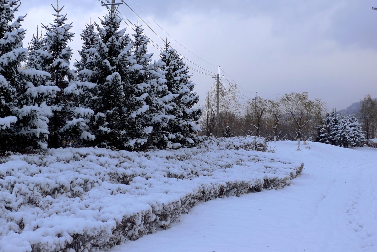 小雪节气雪飘飘－雪景（二）