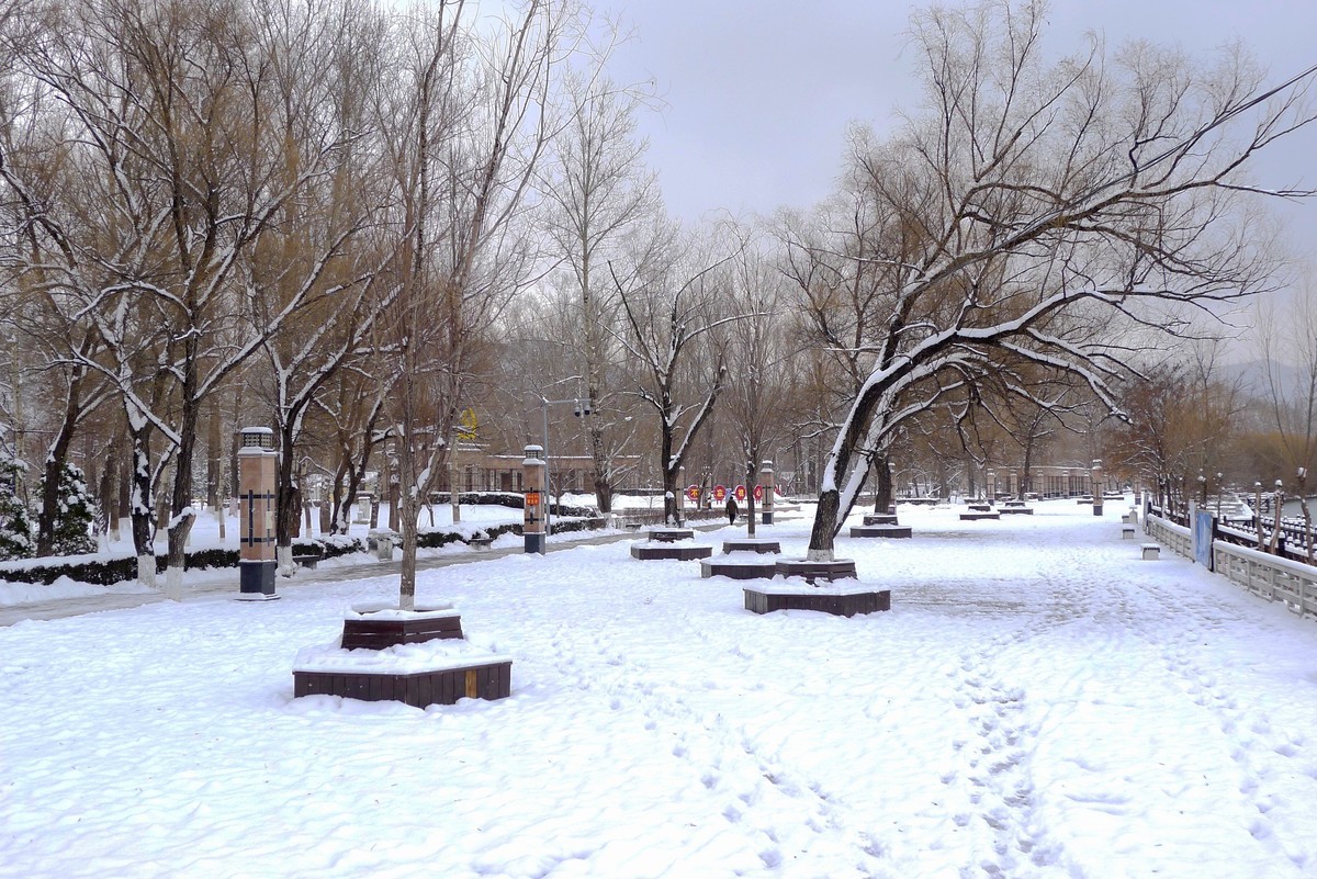 小雪节气雪飘飘－雪景（二）