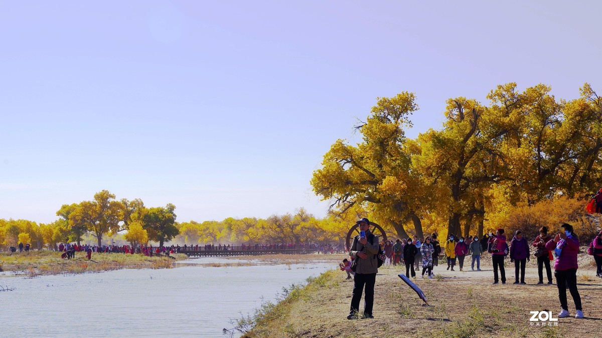 额济纳一～四道桥胡杨林【2】