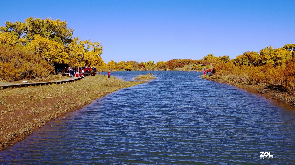 额济纳一～四道桥胡杨林【2】