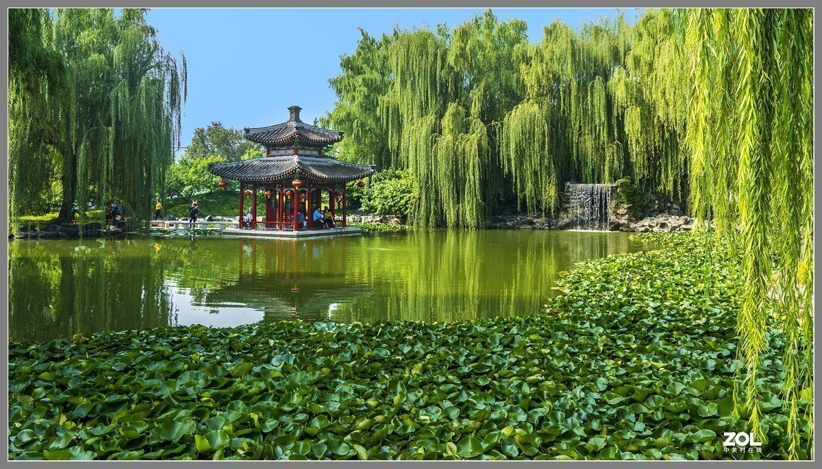 #版主坐堂# 索尼 大版星空(中国)2021年1月份优秀作品精选汇总