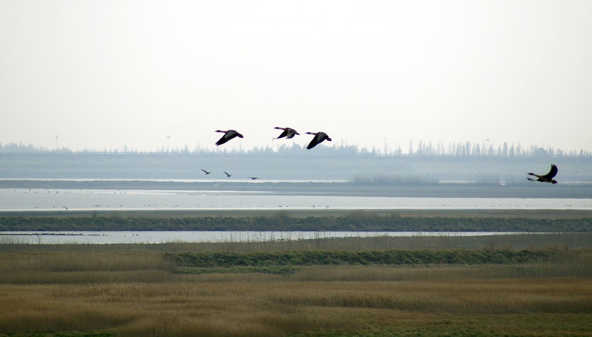 #版主坐堂# 索尼 大版星空(中国)2021年1月份优秀作品精选汇总