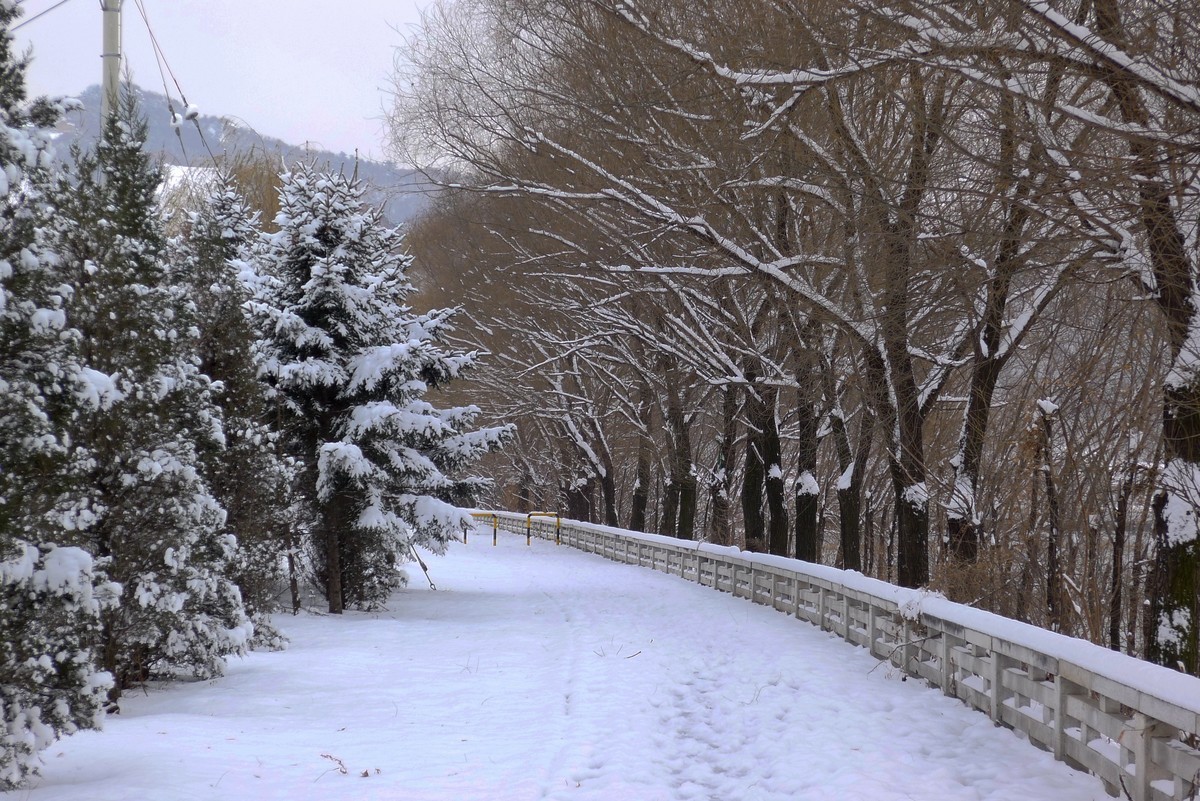 小雪节气雪飘飘－雪景（二）
