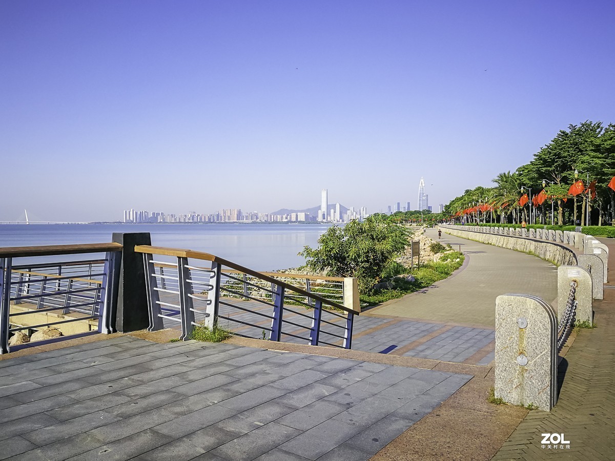 深圳湾红树林公园 ~ 掠影