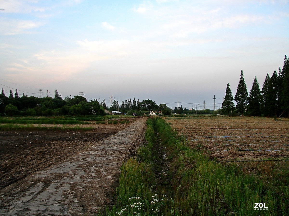 带着老机郊游随拍