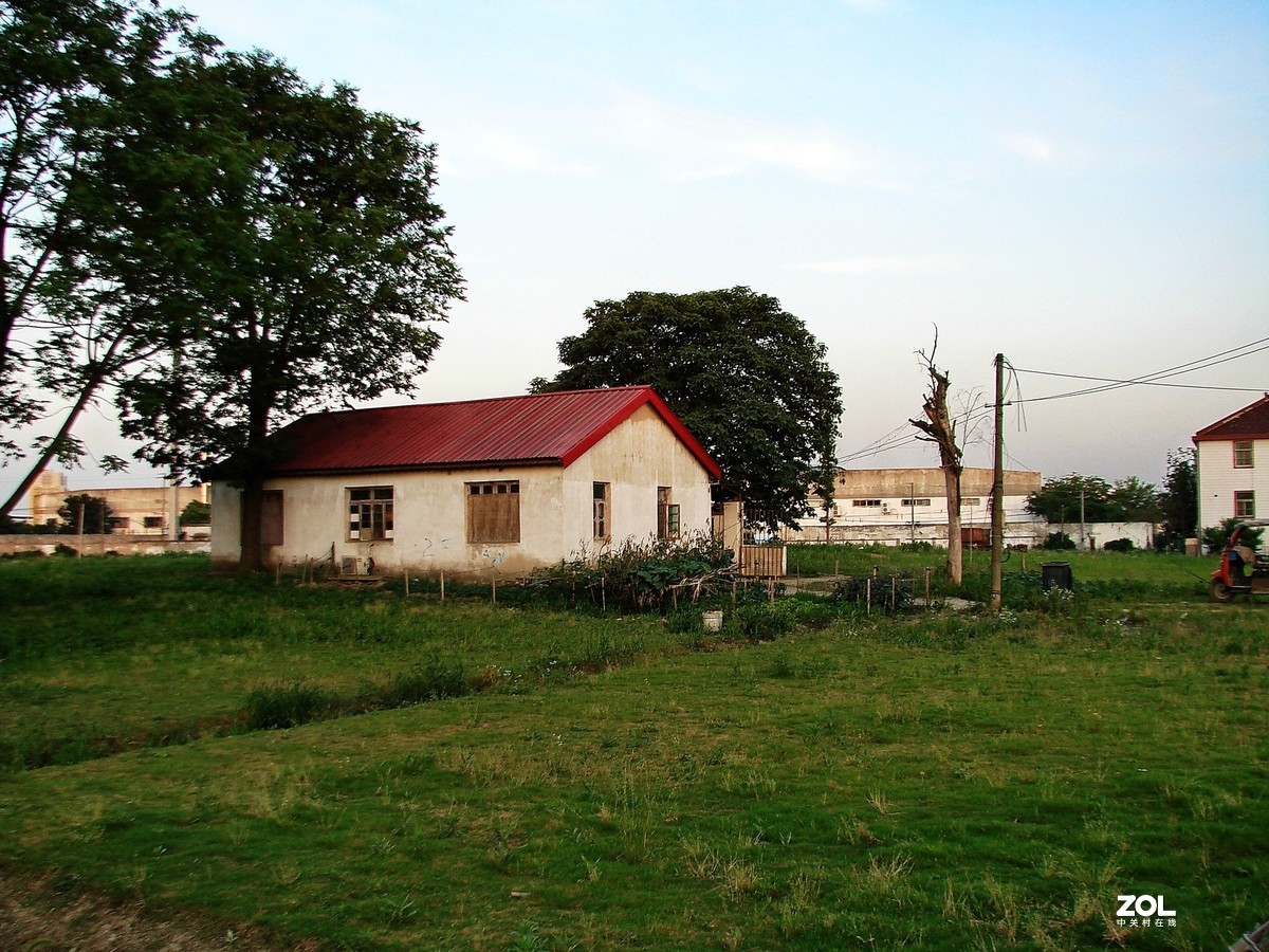 带着老机郊游随拍