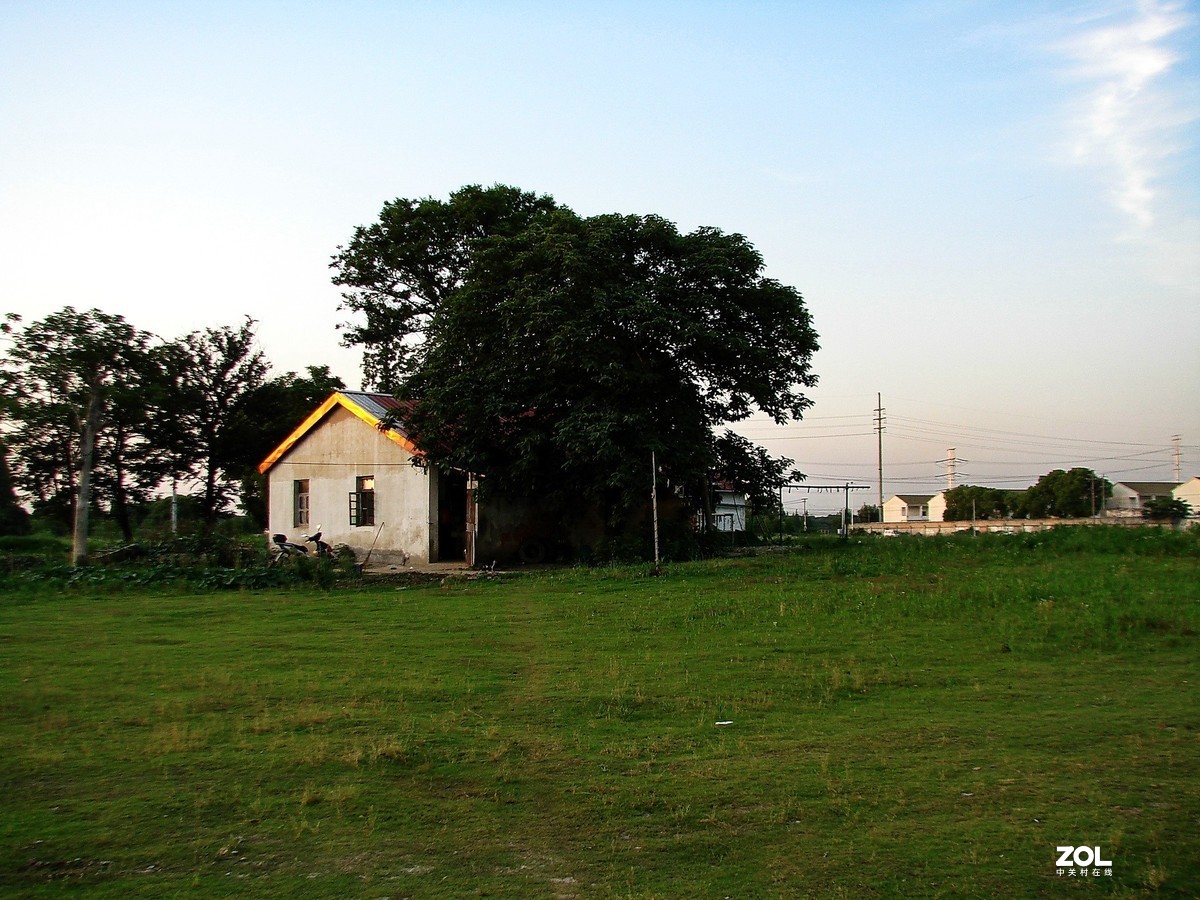 带着老机郊游随拍