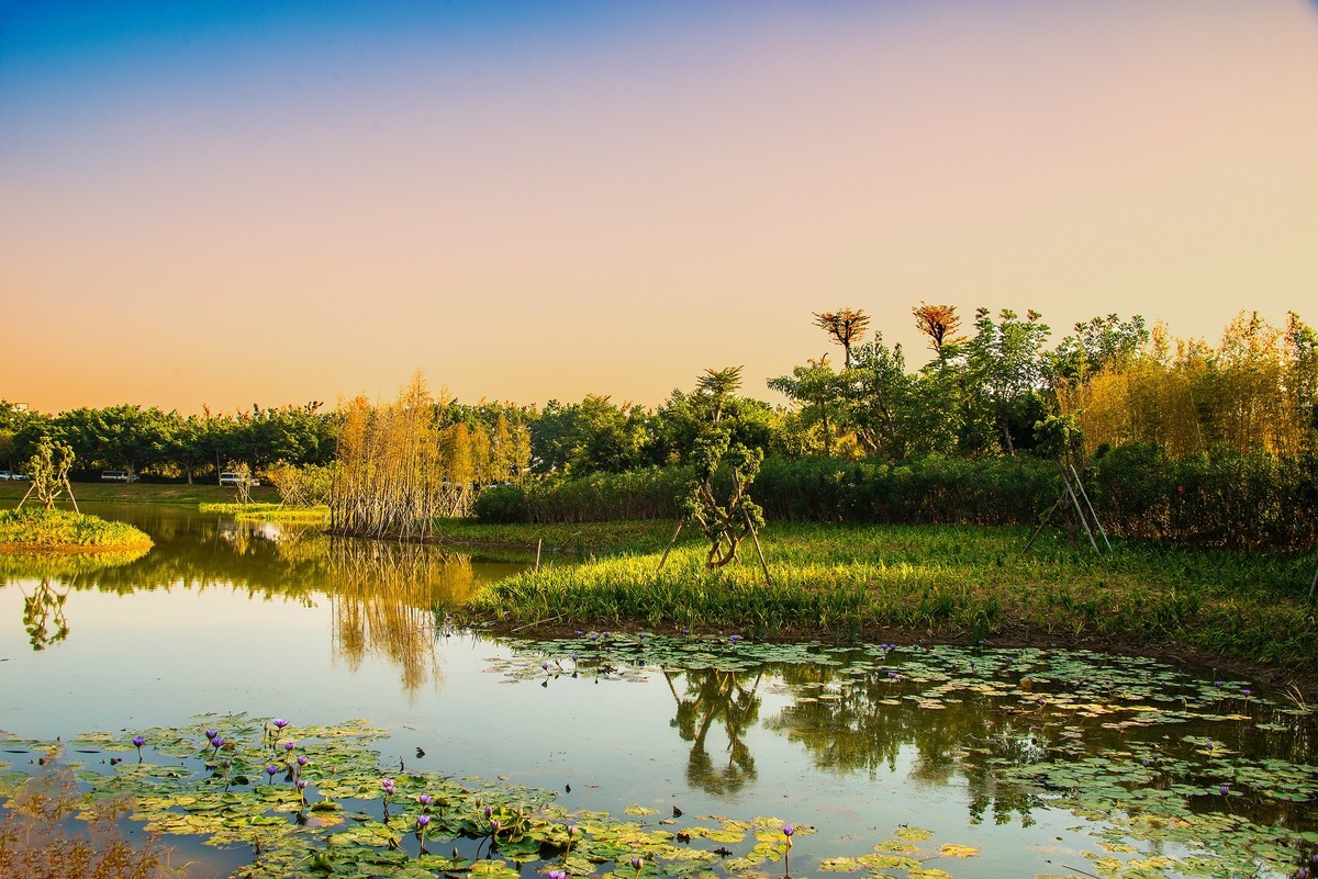 海珠國家溼地公園