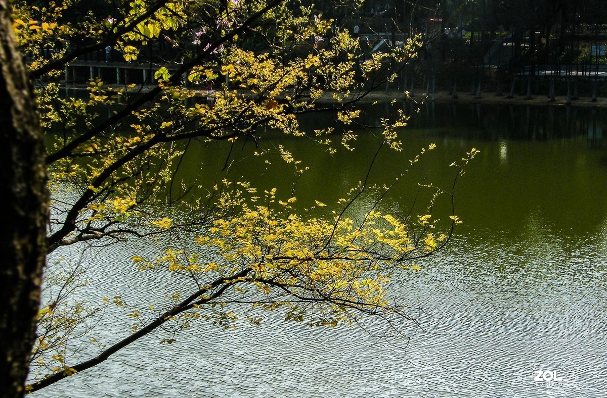 光影图记——浅春