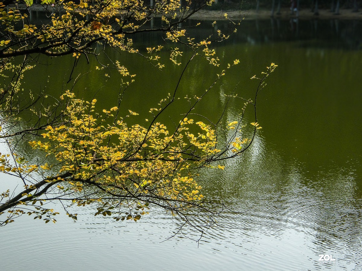 光影图记——浅春