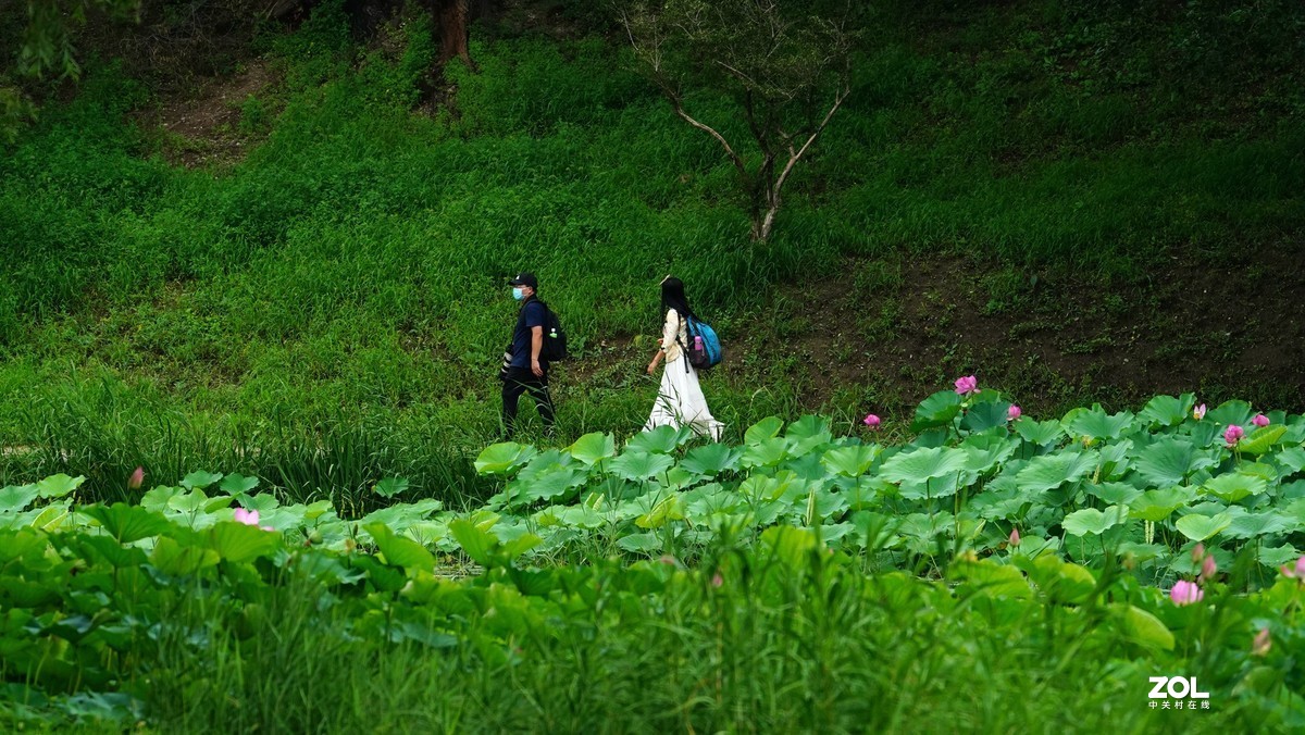 试新----新置的腾龙150-500