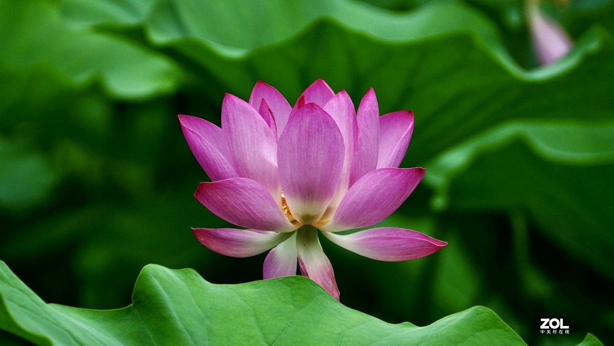 试新----新置的腾龙150-500