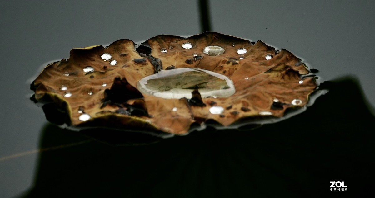 试新----新置的腾龙150-500