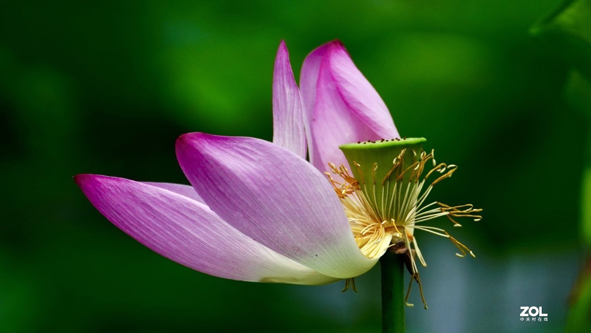 试新----新置的腾龙150-500