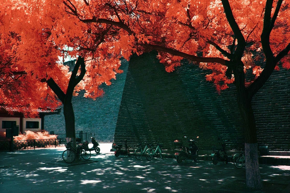 西安城墙根（红外超蓝B01滤镜摄影）