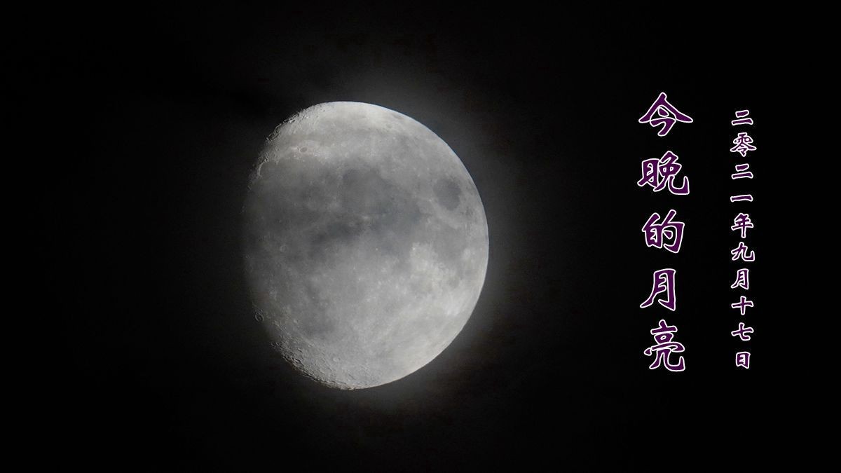 中秋拍月
