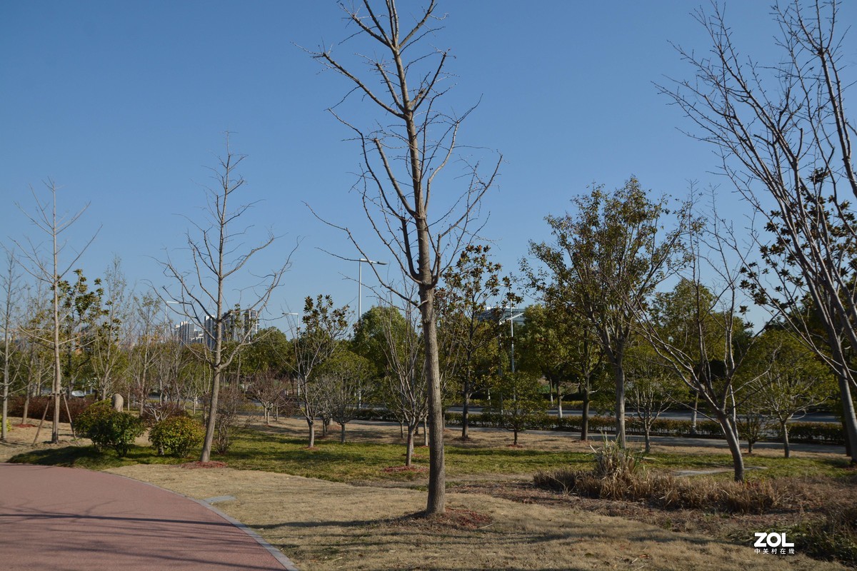 D7100 +适马17-70 二代