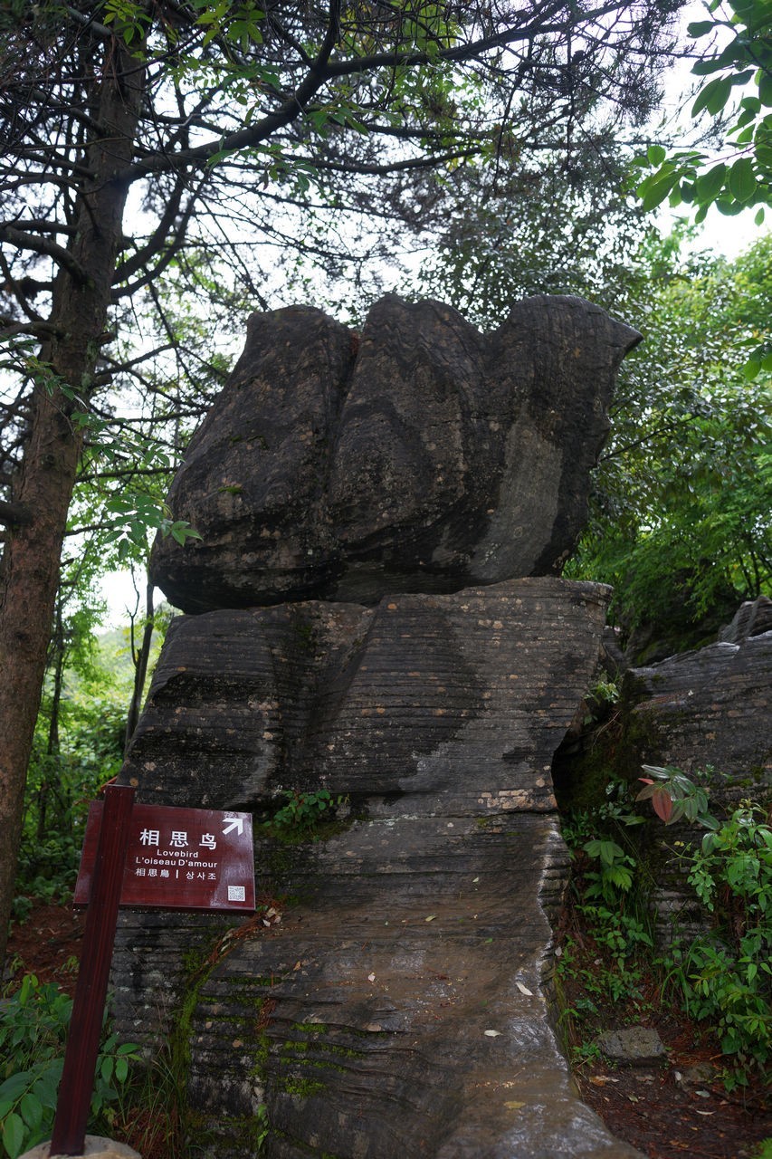 雨中情游恩施大峡谷