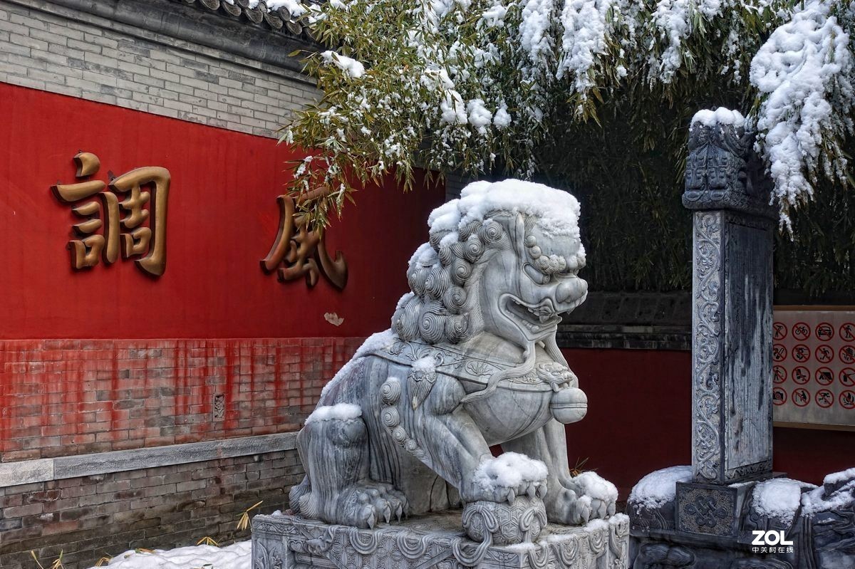 北京紫竹园公园的雪