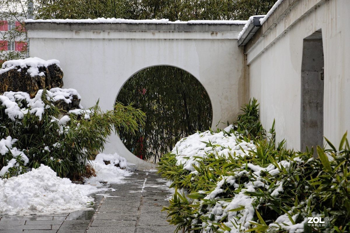 北京紫竹园公园的雪