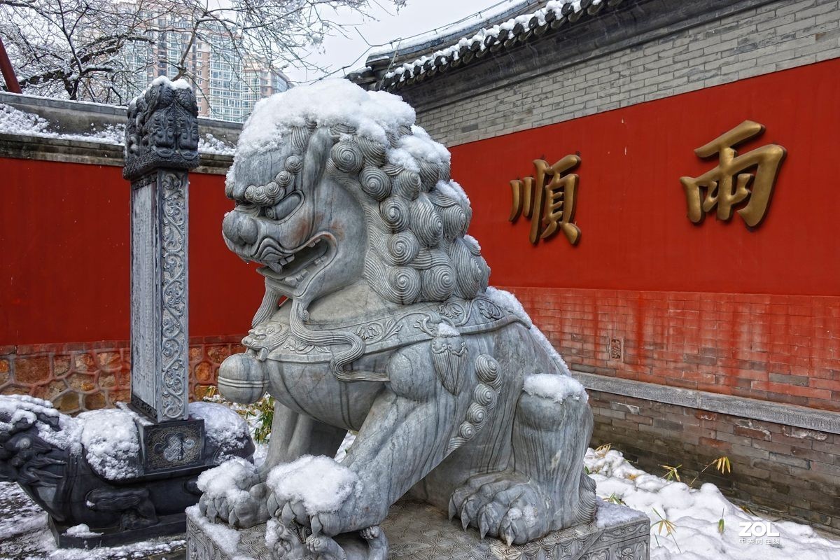 北京紫竹园公园的雪