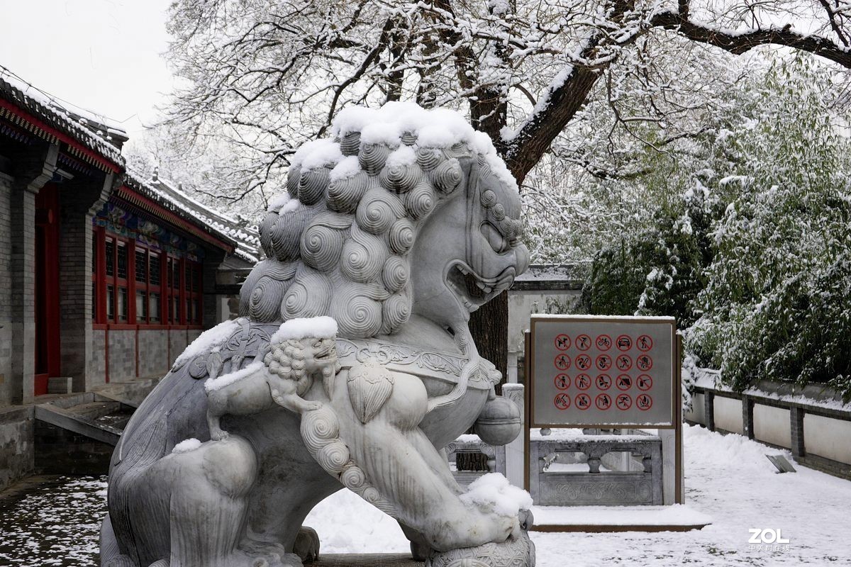 北京紫竹园公园的雪