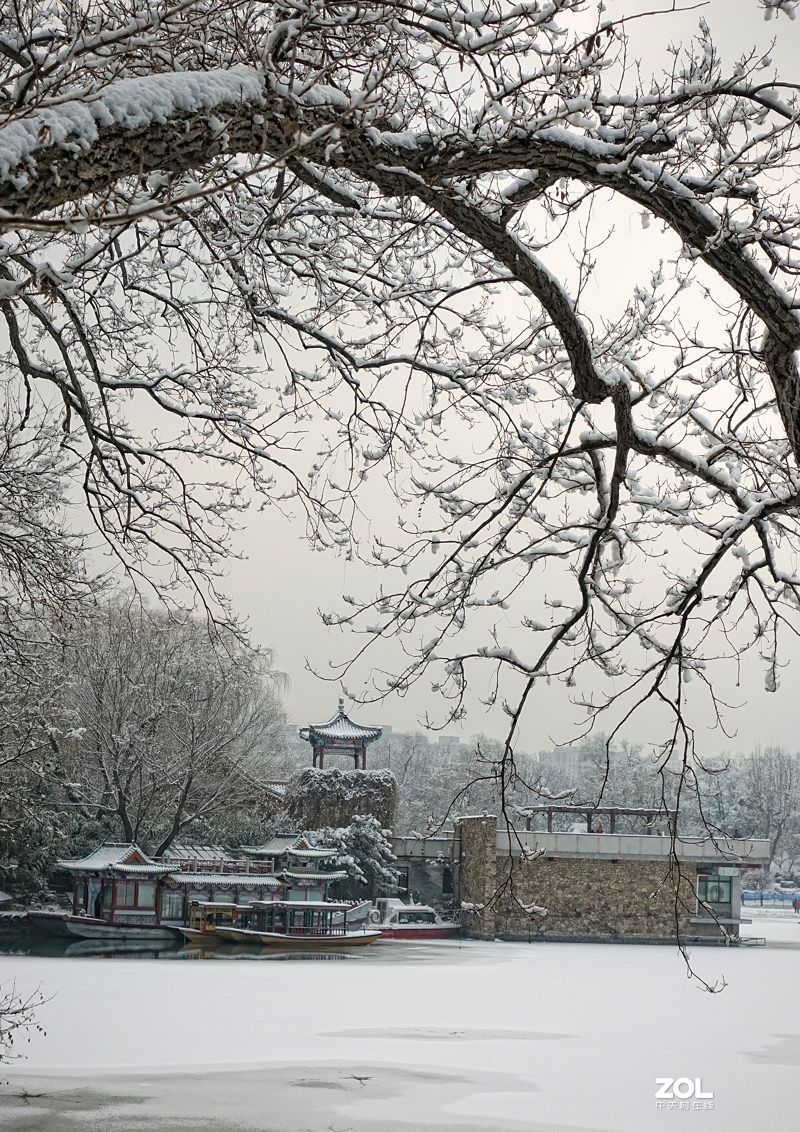 北京紫竹园公园的雪