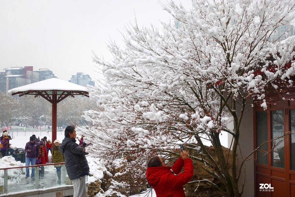 北京紫竹园公园的雪