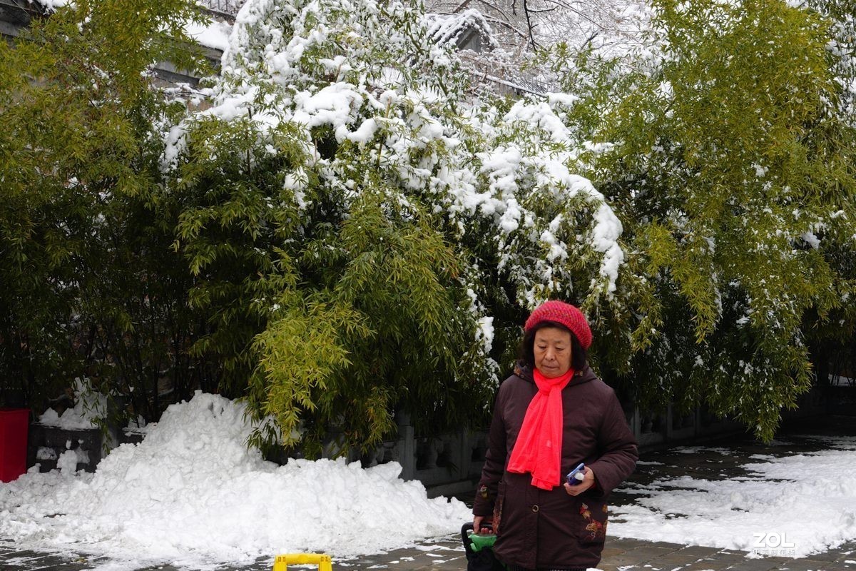 北京紫竹园公园的雪
